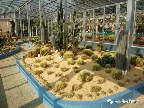 南亚热带植物园