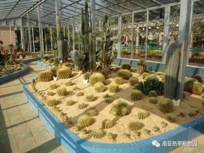 南亚热带植物园