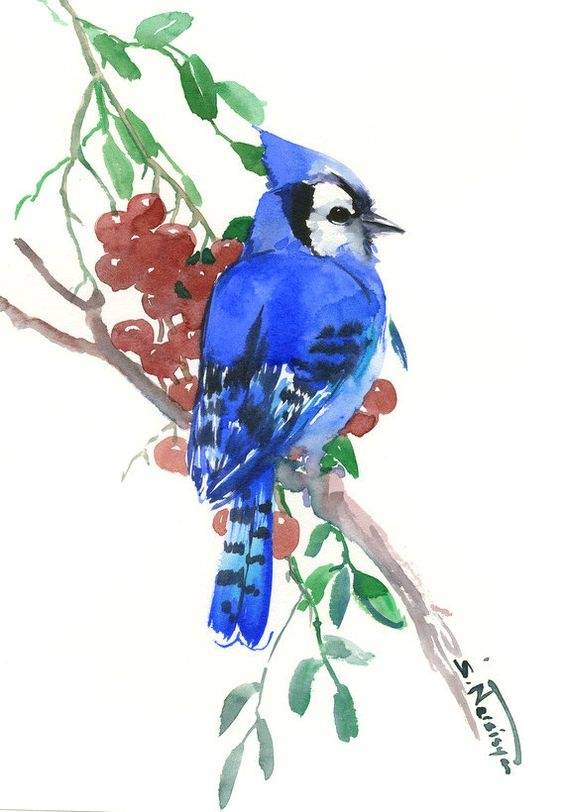 来自艺术家 Suren Nersisyan 水彩鸟儿绘画作品一组
水彩鸟儿 水彩小动物