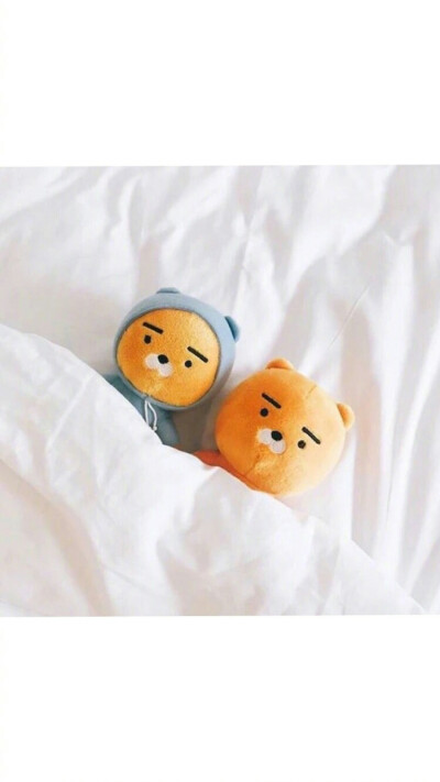 大爱这个小狮子