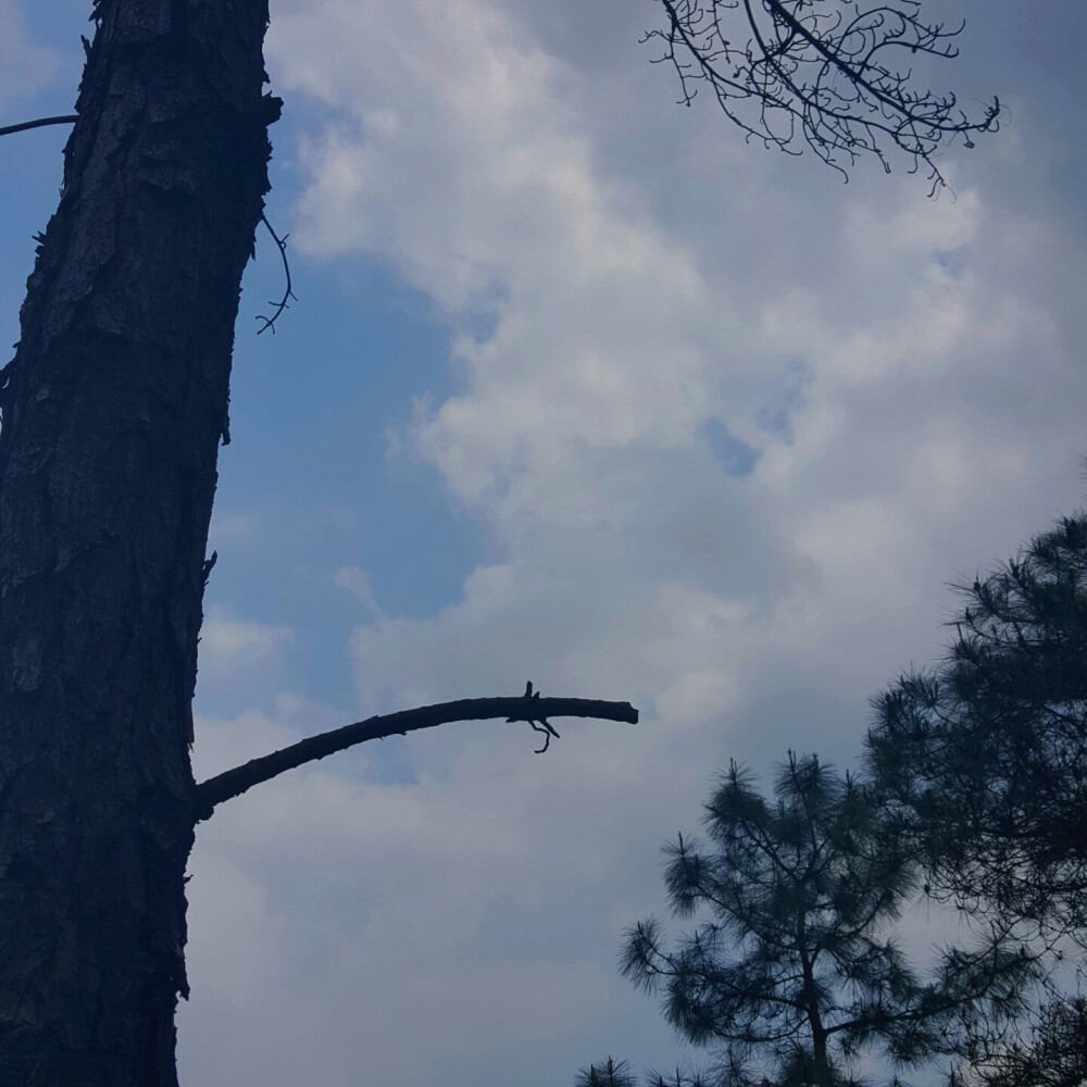 没下雨的清明 累成狗