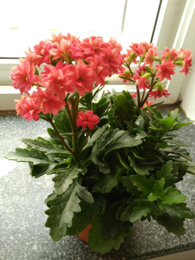 我心里很纠结，我我…我…