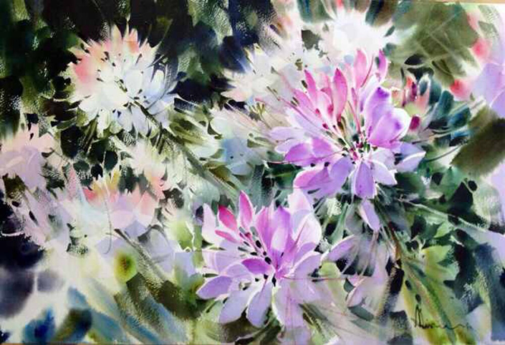 泰国艺术家Adisorn Pornsirikarn 带来一组色彩浓厚的手绘水彩插画，强烈日光下的花朵们艳丽明亮，光彩夺目……
