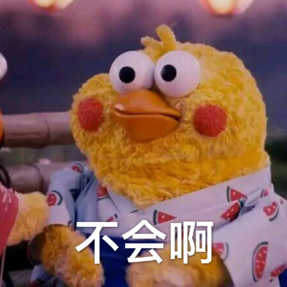 鹦鹉表情包