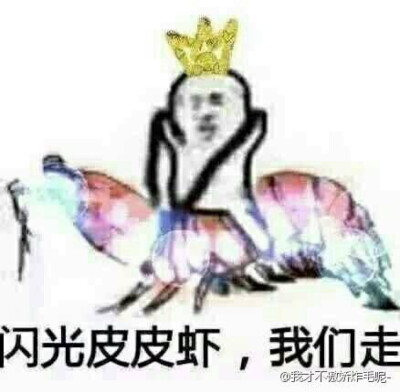 皮皮虾