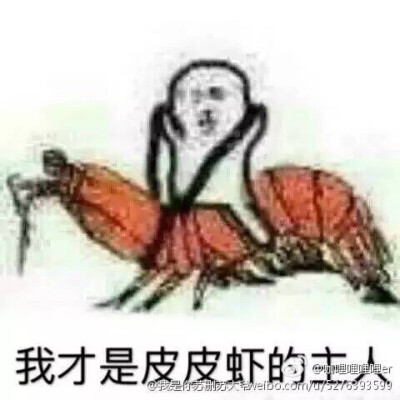 皮皮虾