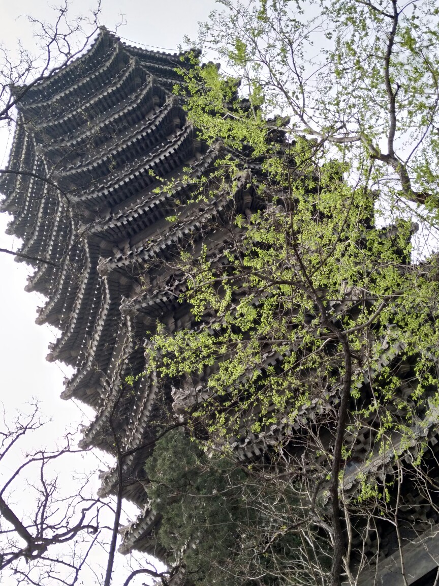 北大 古风 陈旧 历经数年 韵味十祖