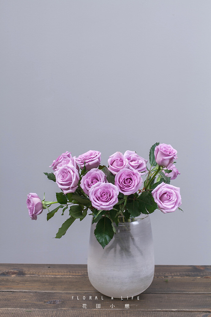 紫色玫瑰 rose & 高冷女王的唇色
原产地：中国 花期：7-10天
淡紫色玫瑰透露出的冷静气质，犹如女王看到高级定制的华服，冷艳的唇色轻挑出的满意弧度