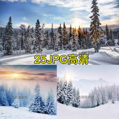 25张宽屏高清雪景山脉积雪松树林高清摄影图片壁纸背景JPGNEW5