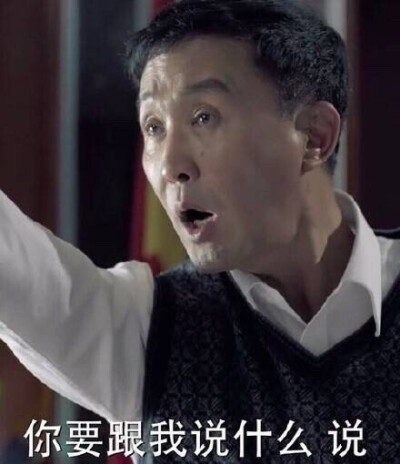 人民的名义 吴刚 表情包