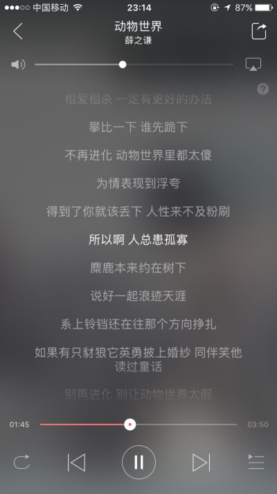 晚安 一人一首安眠曲 一人一首晚安情歌 Caroline的晚安心事 一首好歌伴你入睡 总有一首歌能听进你心里 歌词截图 薛之谦 每个人心里都有一段初爱 薛之谦新歌 动物世界