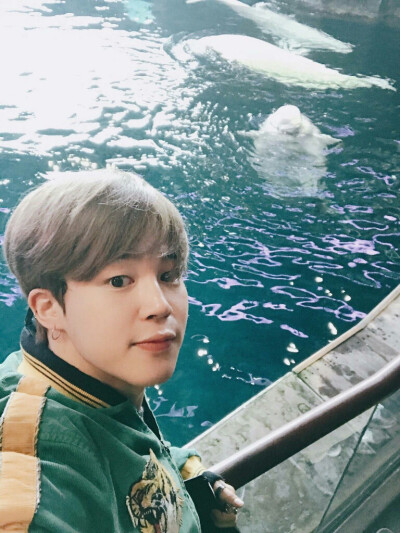 170405 Jimin推特更新
海洋馆？？