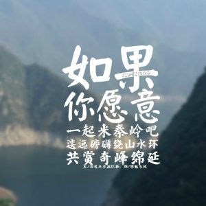 秦岭青铜树，老痒归土