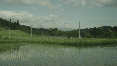 《小森林：秋冬篇》