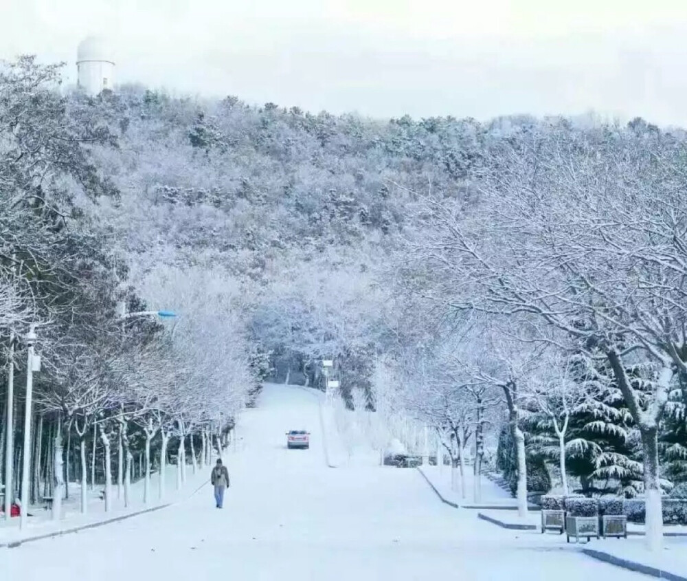 威海的雪