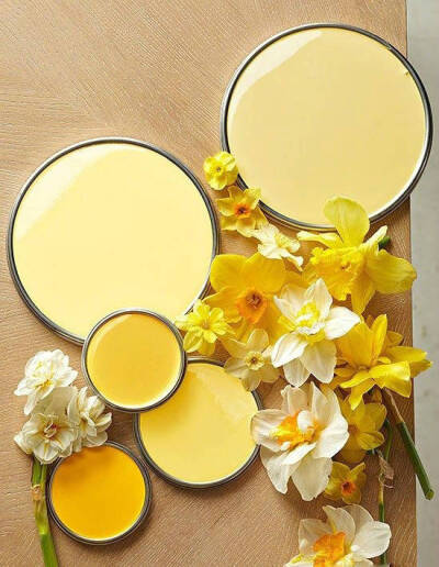 Primrose Yellow