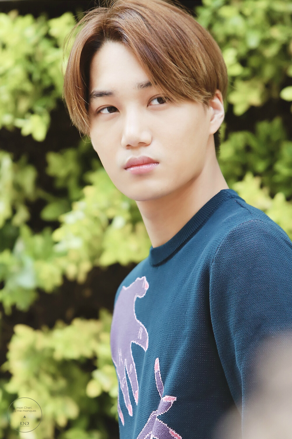 exokai