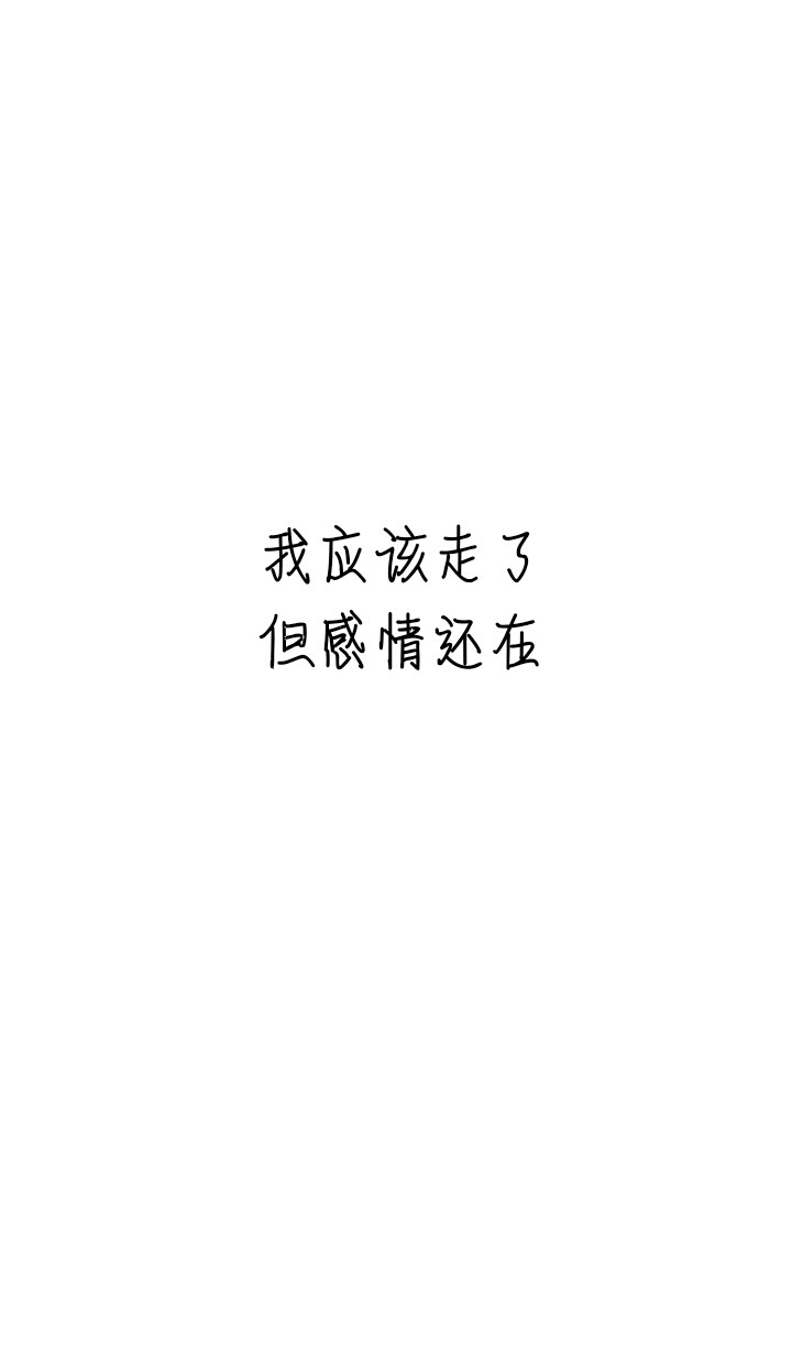 白底文字壁纸／只说情话／从南撩到北