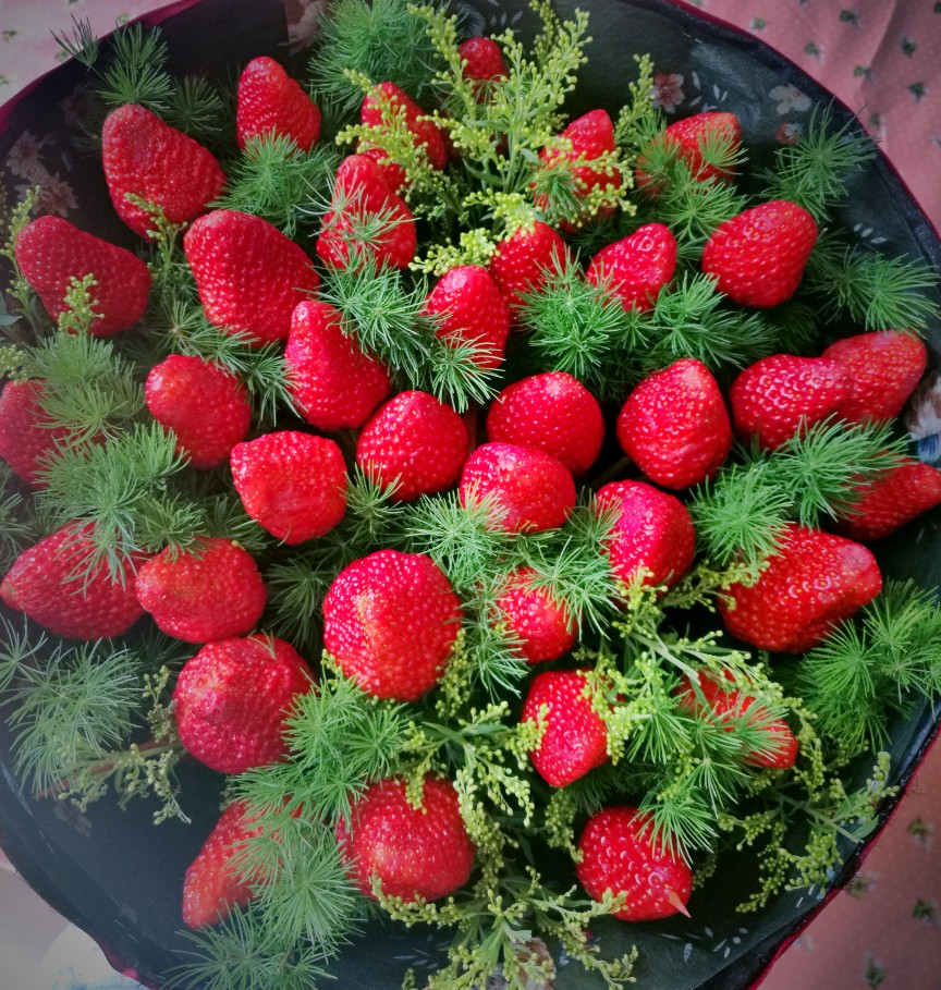 一周年零一个月的纪念！！草莓花，我男朋友可以的