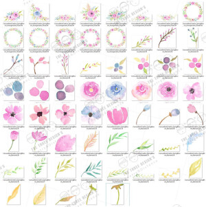 PN0010#手绘水彩花卉花纹植物平铺底纹纹理 PNG设计素材