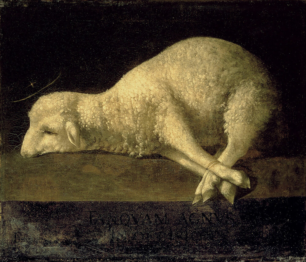 Francisco de Zurbarán: Agnus Dei (Google Art Project)