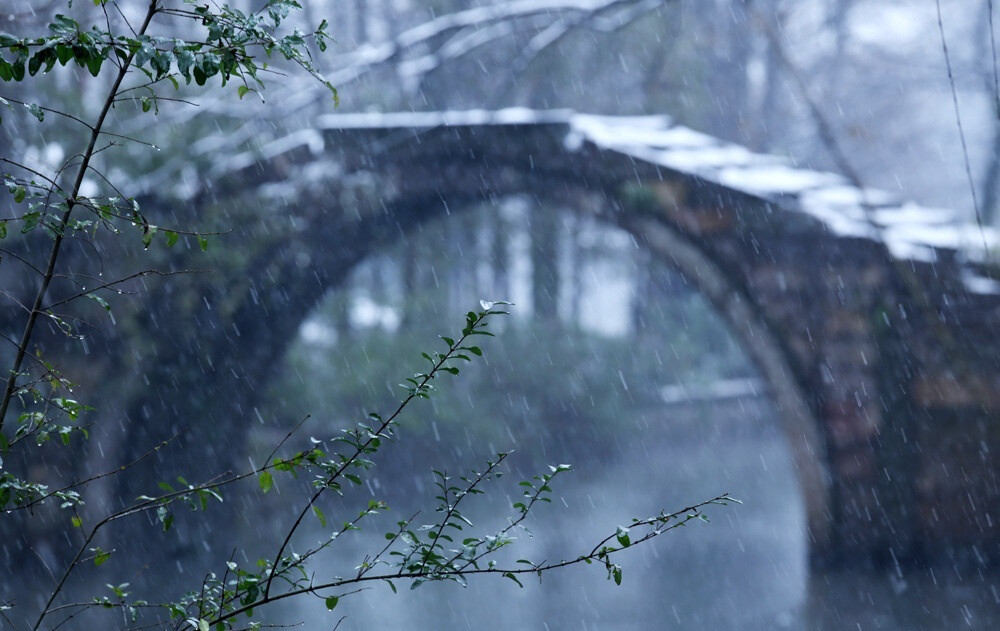 西湖雨