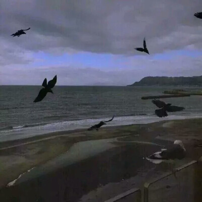 qq/微信/背景壁纸