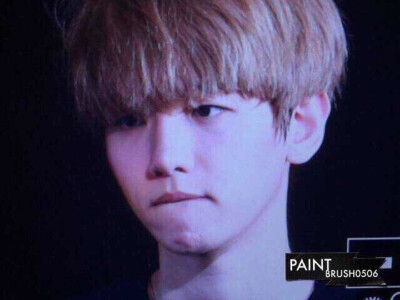 EXO BaekHyun 边伯贤 cr:logo