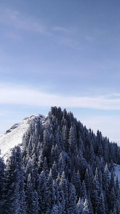 雪山丛林