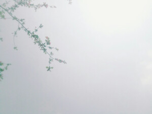 你知道天空有多远？