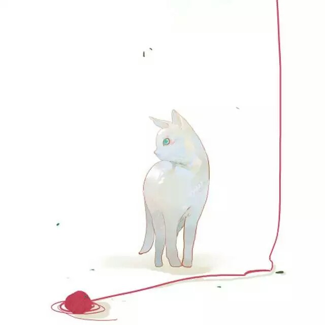 小清新，猫咪，情头