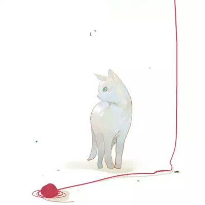 小清新，猫咪，情头