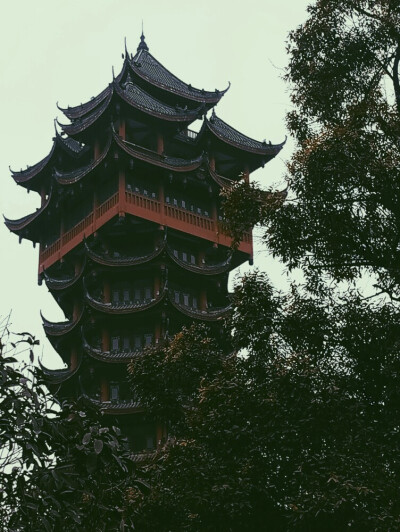 物景爱好