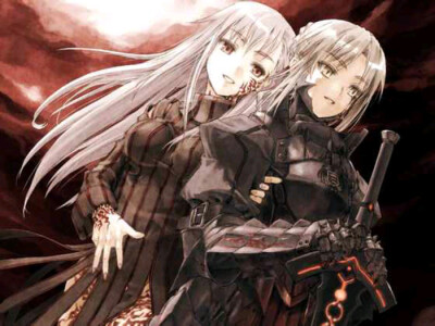 fatestaynight hf fsn 黑化樱 黑化saber