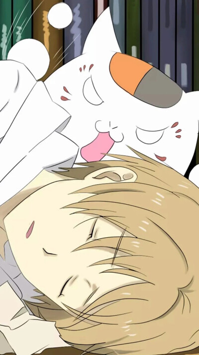 夏目贵志 猫咪老师 斑 夏目友人帐 治愈