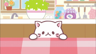 可爱 壁纸 香蕉喵 猫咪 猫 b站 侵权勿删