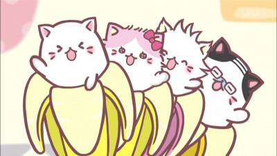 可爱 壁纸 香蕉喵 猫咪 猫 b站 侵权勿删