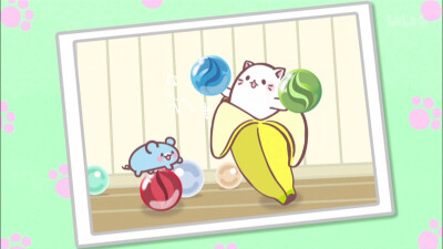 可爱 壁纸 香蕉喵 猫咪 猫 b站 侵权勿删