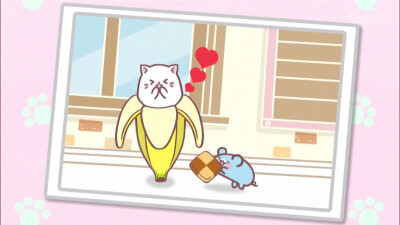 可爱 壁纸 香蕉喵 猫咪 猫 b站 侵权勿删