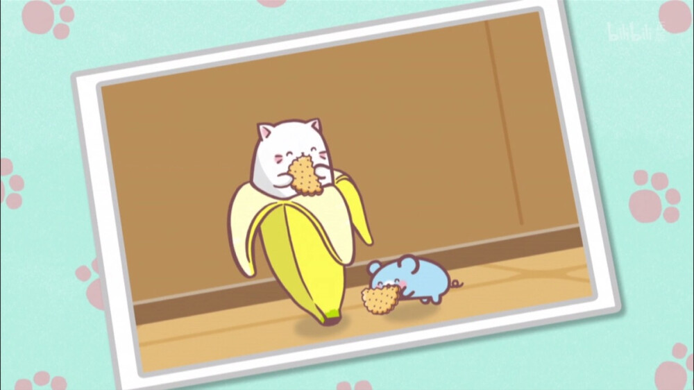 可爱 壁纸 香蕉喵 猫咪 猫 b站 侵权勿删