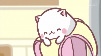 可爱 壁纸 香蕉喵 猫咪 猫 b站 侵权勿删