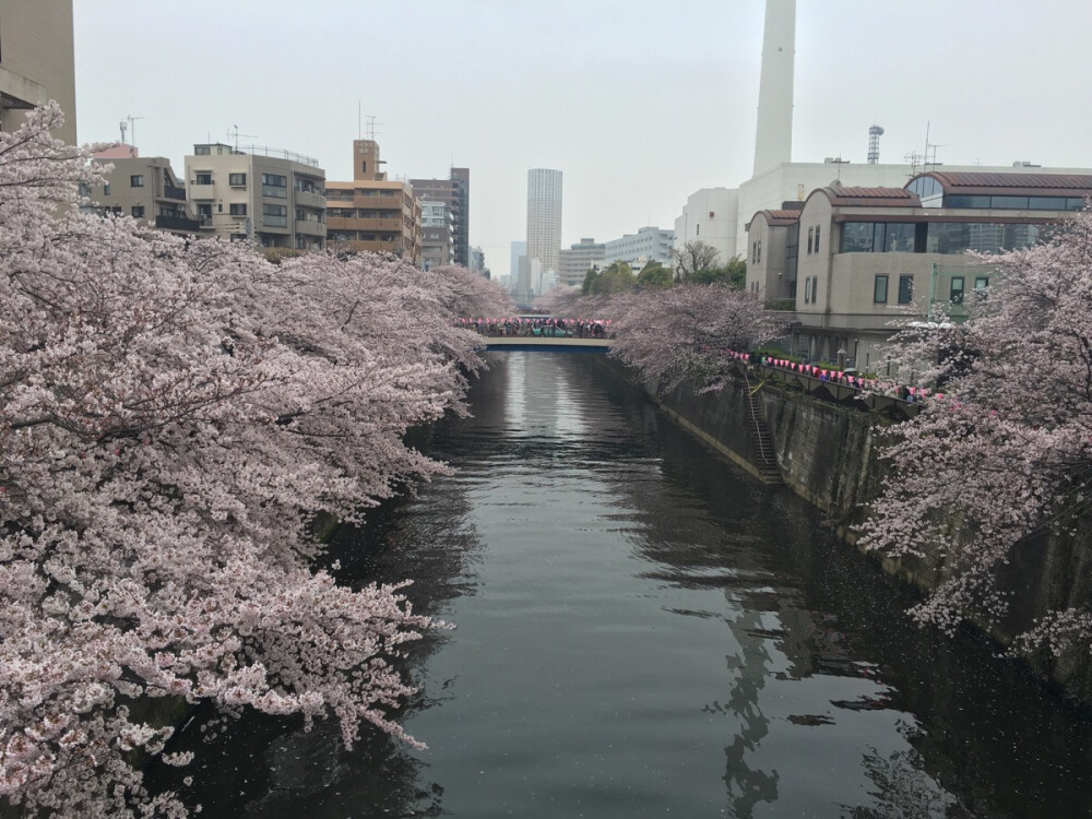 目黑川