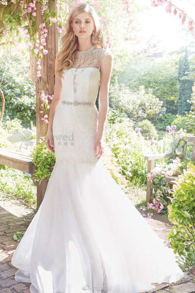 Alvina Valenta – Fall 2016 Collection ​​​​