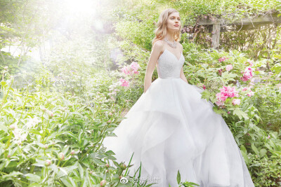 Alvina Valenta – Fall 2016 Collection ​​​​