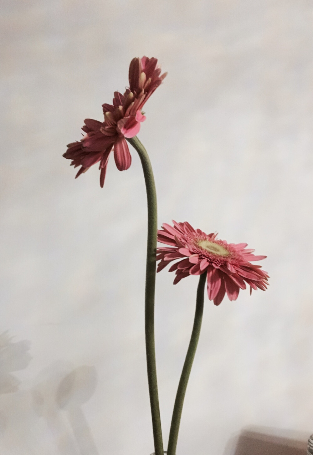 雅致- 堆糖,美图壁纸兴趣社区