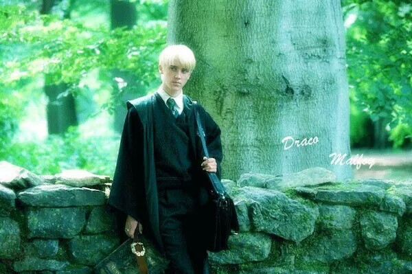 #Draco Malfoy# #Tom Felton#