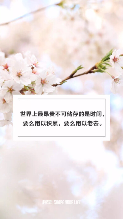 趁早壁纸 潇洒姐 励志壁纸