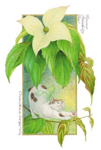 #崧，东方美##绘画#长着翅膀的花间猫｜中岛祥子 ​​​