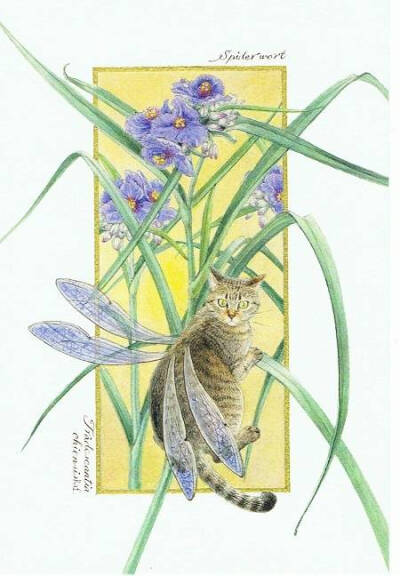 #崧，东方美##绘画#长着翅膀的花间猫｜中岛祥子 ​​​