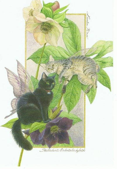 #崧，东方美##绘画#长着翅膀的花间猫｜中岛祥子 ​​​